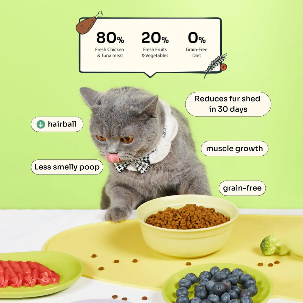 Halal Slow-baked Fresh Chicken & Tuna