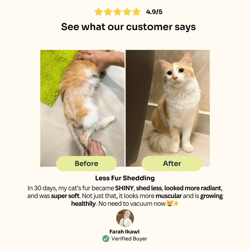 Halal Slow-baked Fresh Chicken & Tuna