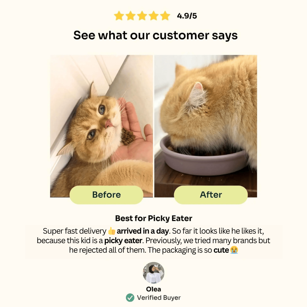 Halal Slow-baked Fresh Chicken & Tuna