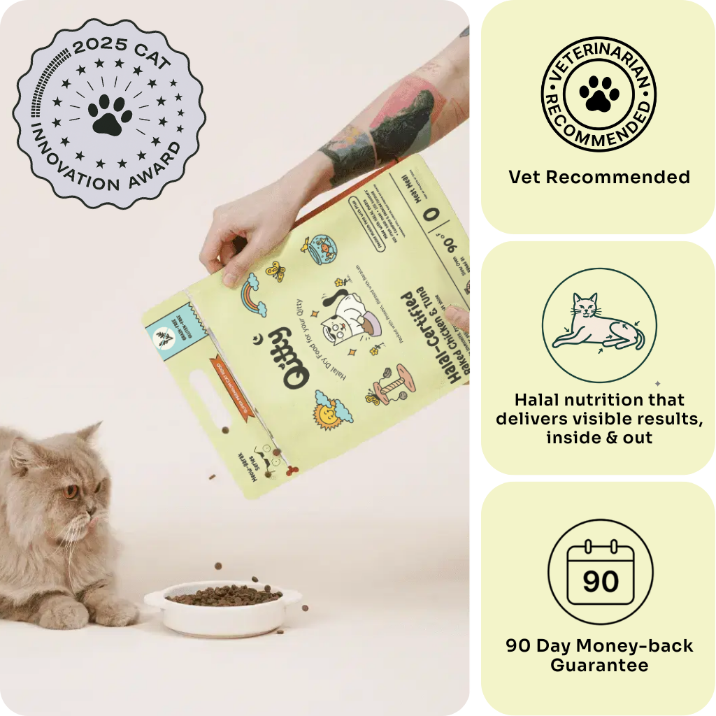 Halal Slow-baked Fresh Chicken & Tuna